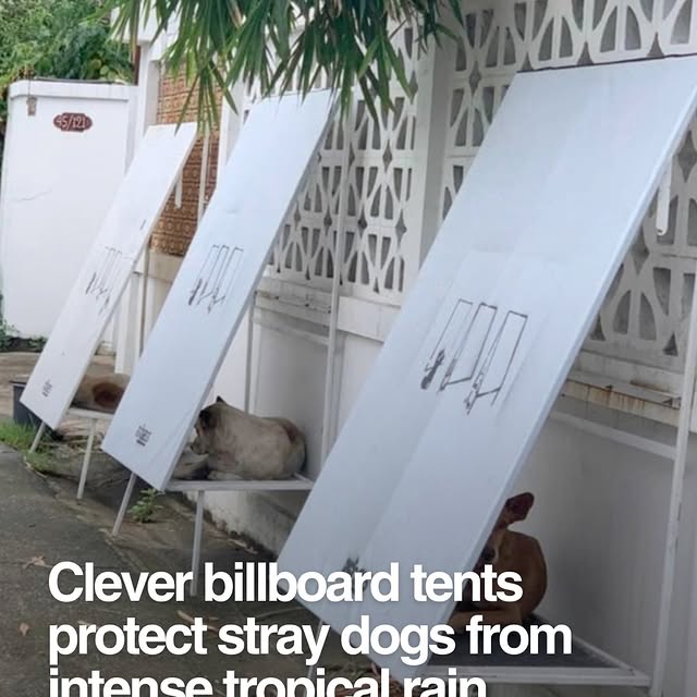  ....dose   'recent posts' 