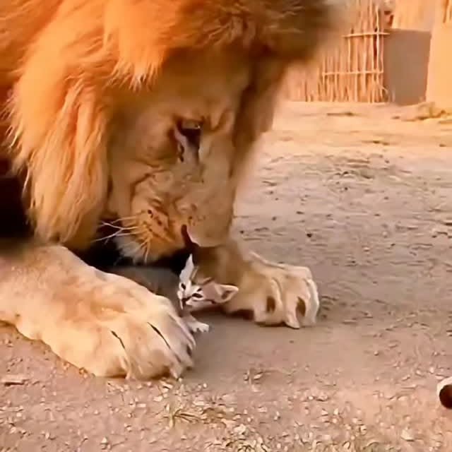  .......plorers   'recent posts' 