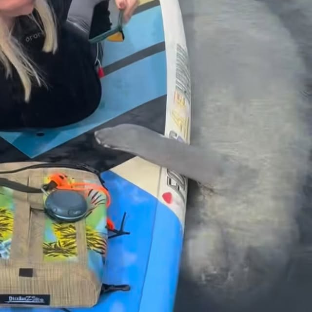  .....lorida   'recent posts' 