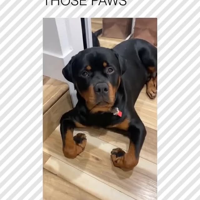  ......rposts   'recent posts' 