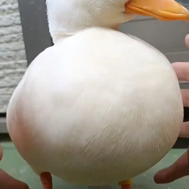  ........ckstatue   'recent posts' 