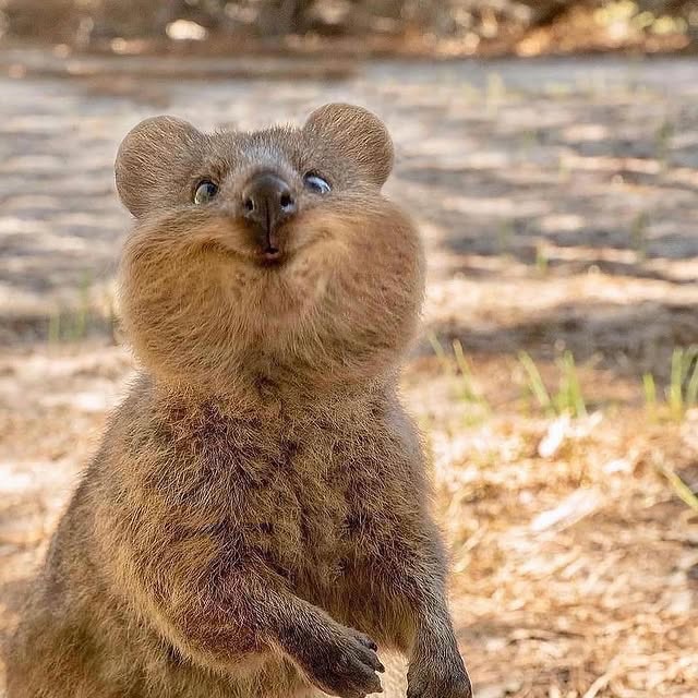  ......sfever   'recent posts' 