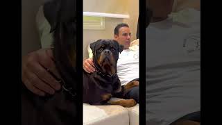  .......ler Life  'recent videos' 