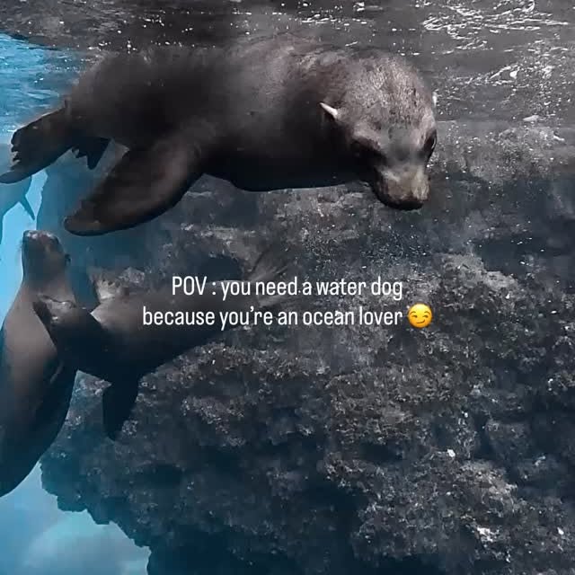  ......uecoast   'recent posts' 