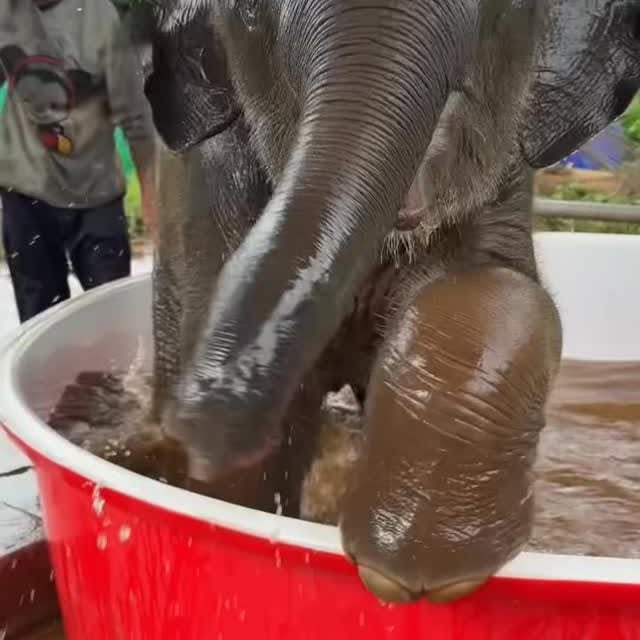  ........sofworld   'recent posts' 