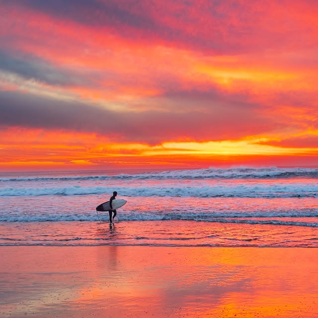  ......aphael   'recent posts' 