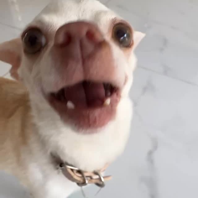  ........astiming   'recent posts' 