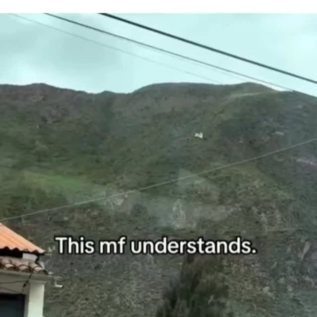  .......trovert   'recent posts' 