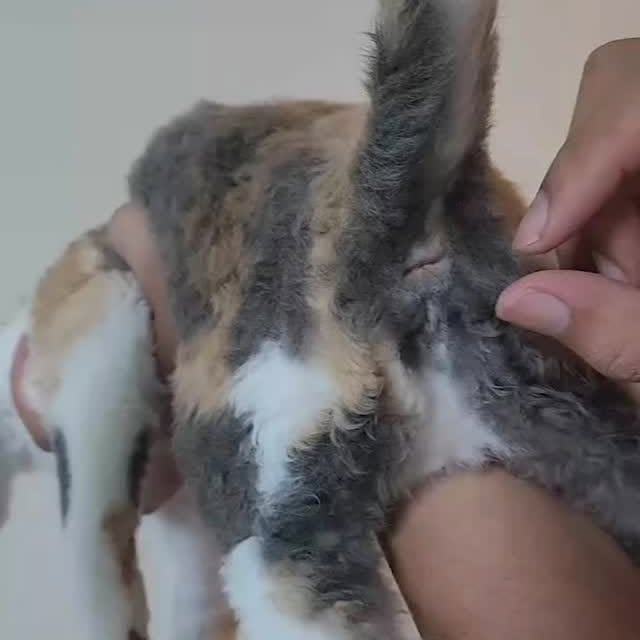  ......llerss   'recent posts' 