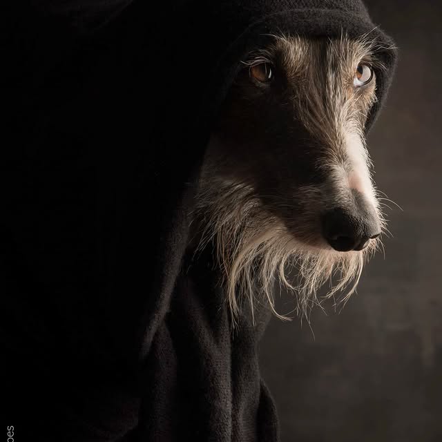  ..........hotography   'recent posts' 