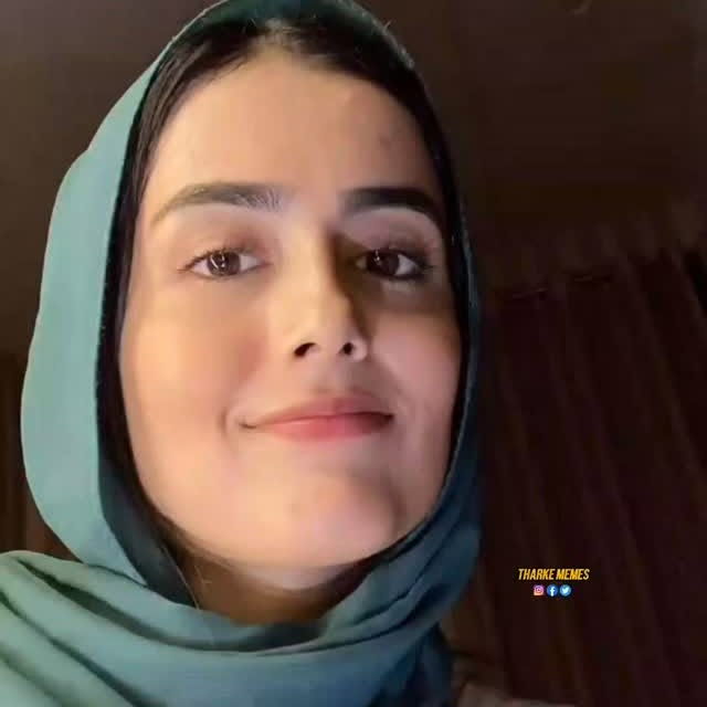  ......__memes   'recent posts' 