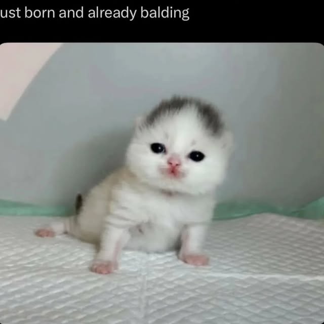  ......nd.kits   'recent posts' 