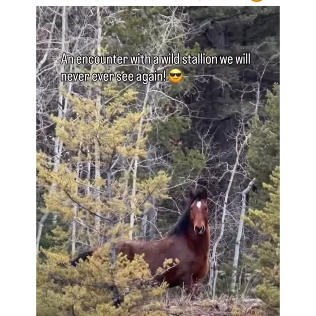  ..obe   'recent posts' 