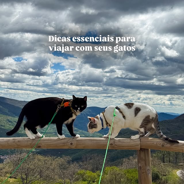  ....iseme   'recent posts' 