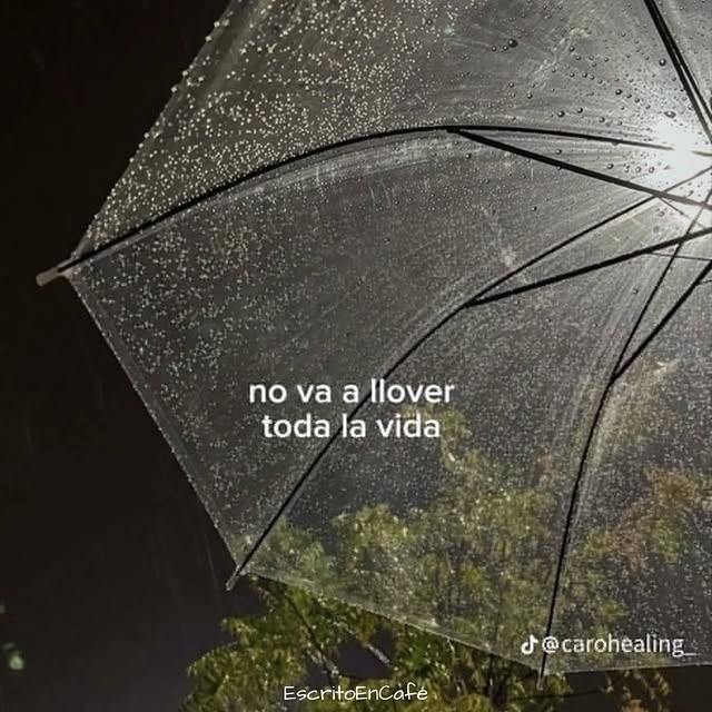  ......oencafe   'recent posts' 