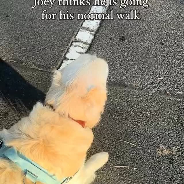  ....ofk9   'recent posts' 