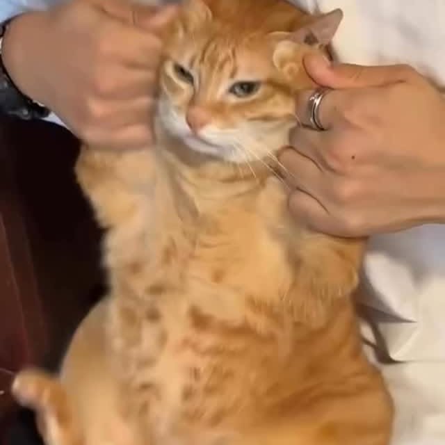  .....attos   'recent posts' 