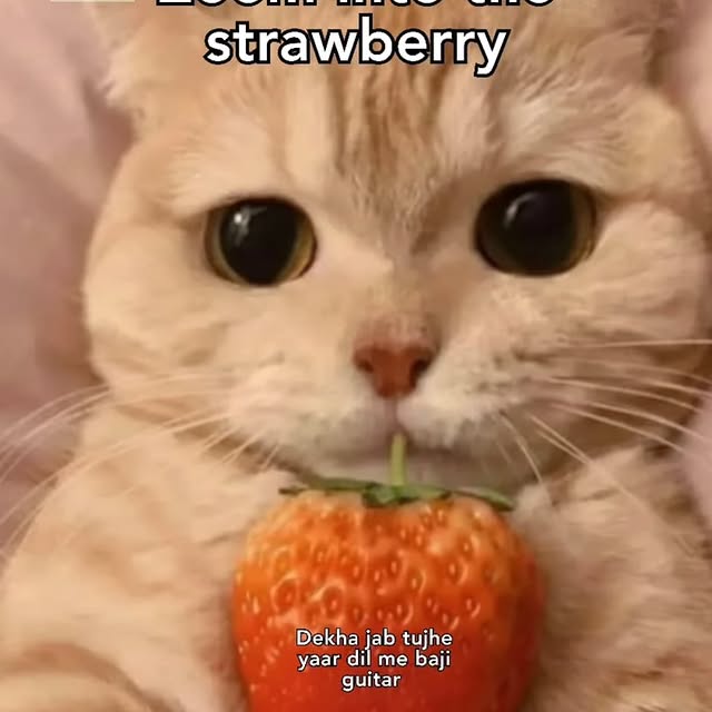  .......dstories   'recent posts' 