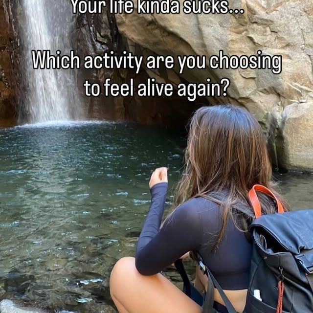  .....iesta   'recent posts' 