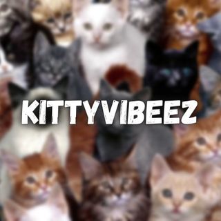 shoutout from .....vibeez influencer on Instagram  