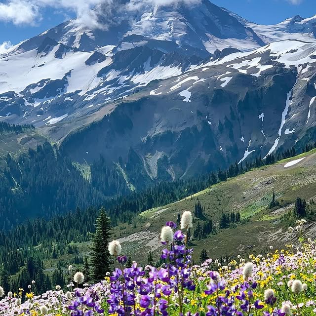  .........dventures   'recent posts' 