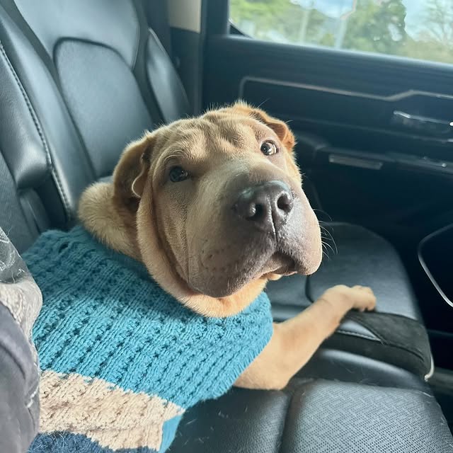  ......i.world   'recent posts' 