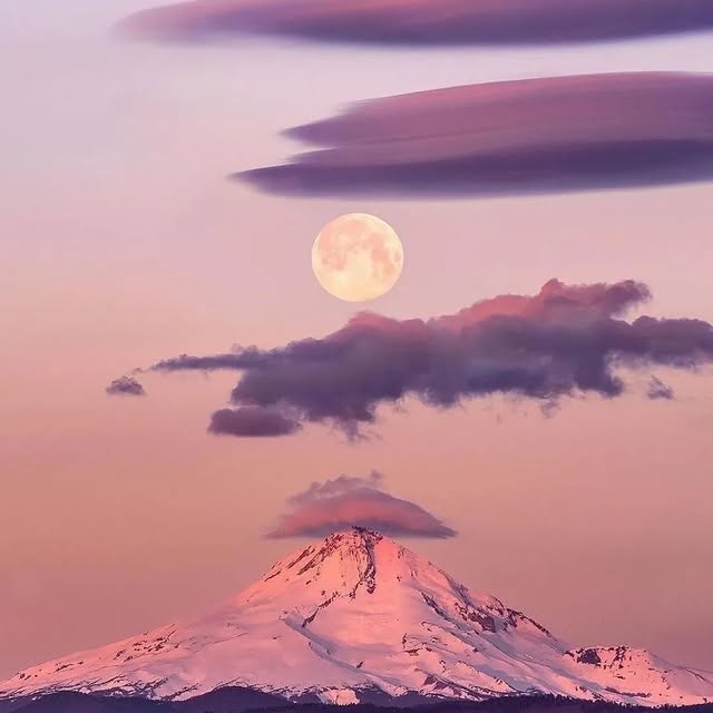  ......fervor   'recent posts' 