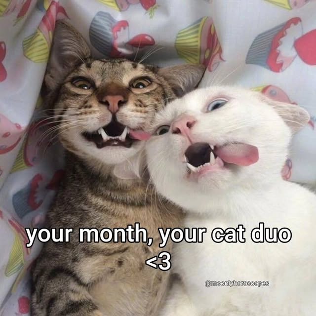  ......rlrise   'recent posts' 