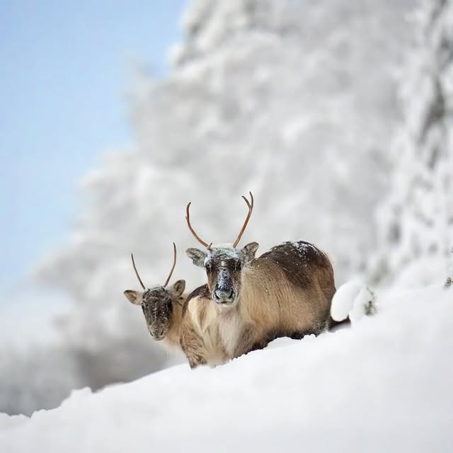  ......entpix   'recent posts' 