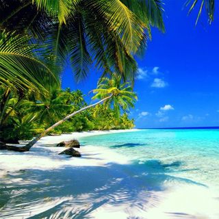 Buy instagram shoutouts from Travel influencer with 2.3m followers