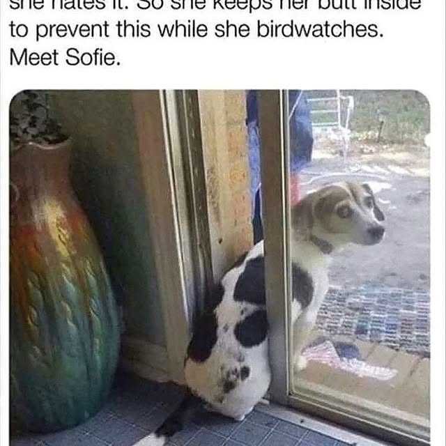  ......orable   'recent posts' 