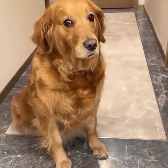  ....fday   'recent posts' 