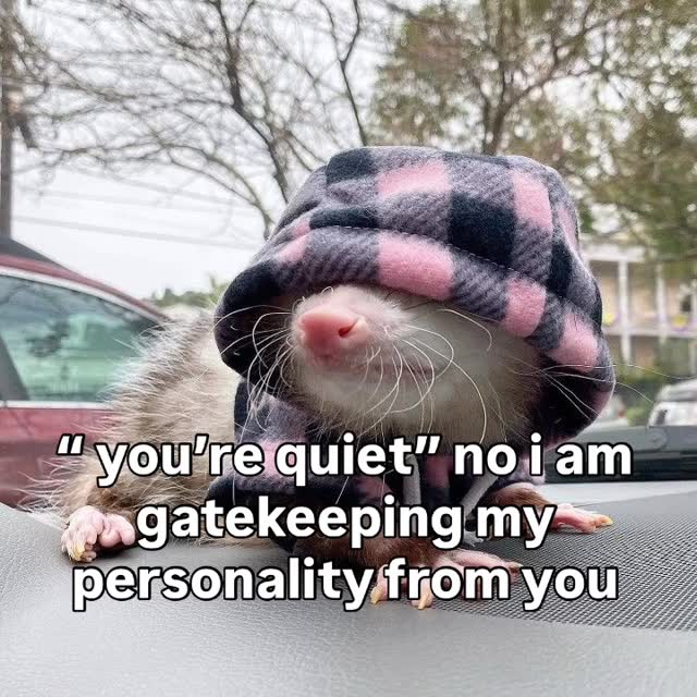  ......mthings   'recent posts' 