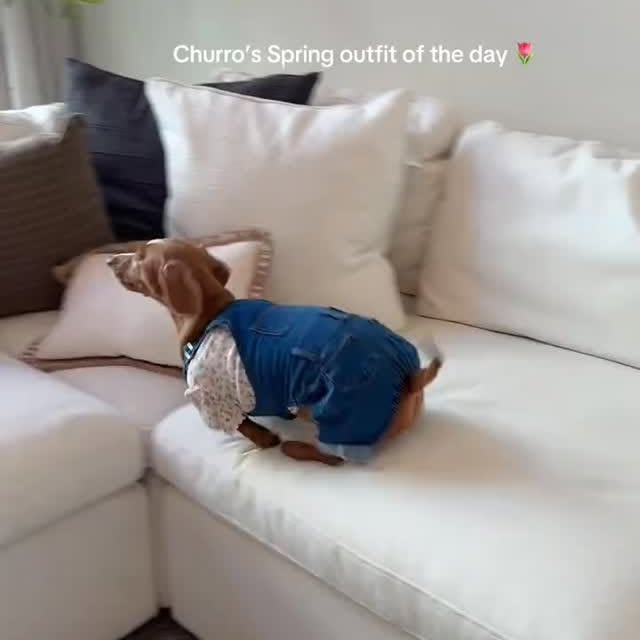  ..........fan.club_   'recent posts' 