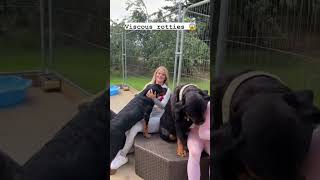  .......ler Life  'recent videos' 