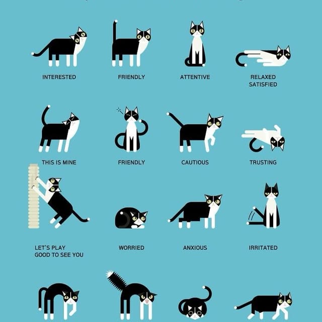  ....lmeme   'recent posts' 