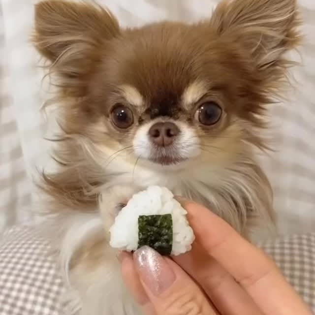  .......uapuppy   'recent posts' 