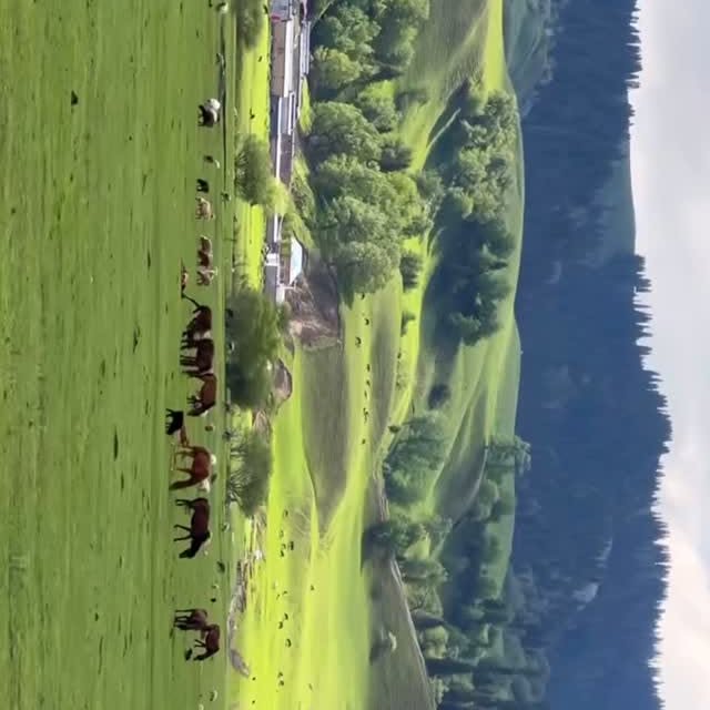  ......promo   'recent posts' 