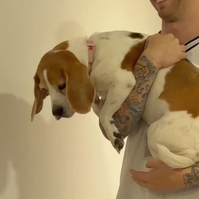  ....s2as   'recent posts' 