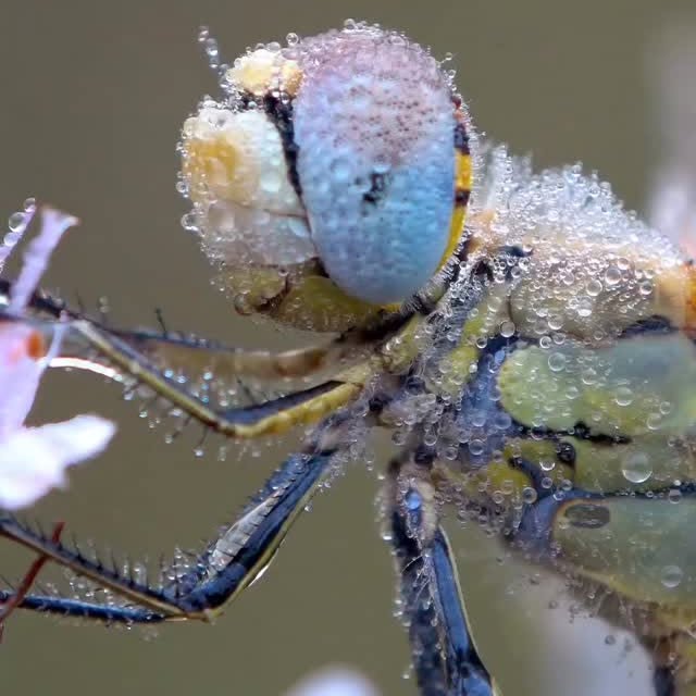  .....ature   'recent posts' 