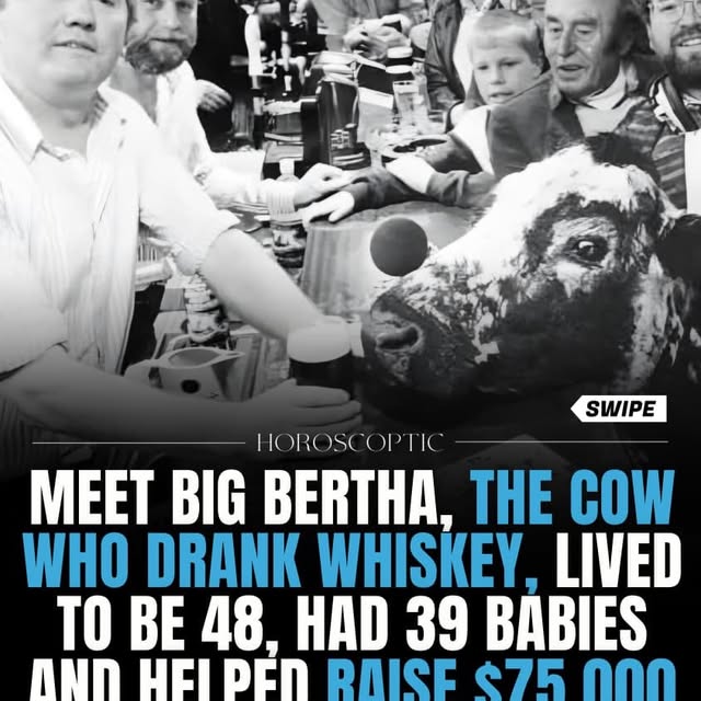  .....coptic   'recent posts' 