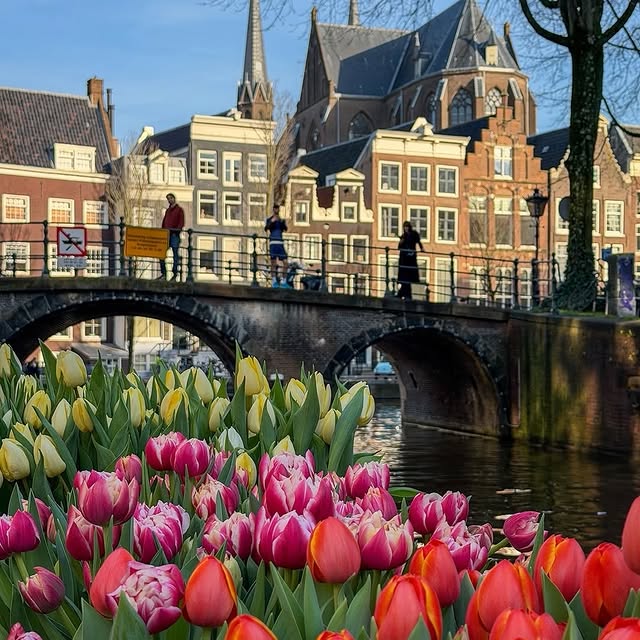  .......amworld   'recent posts' 