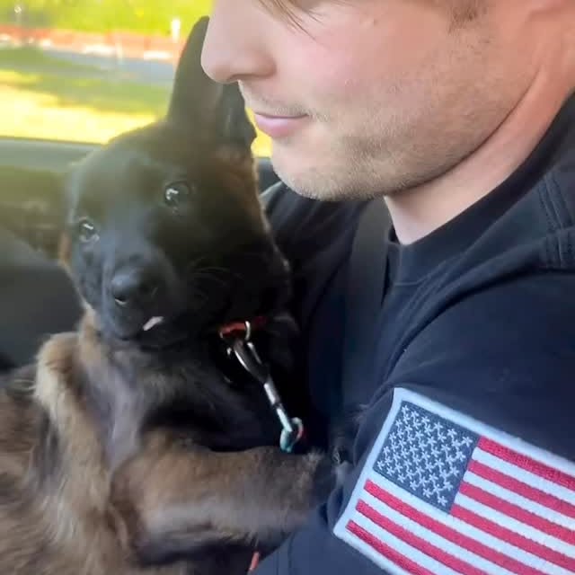  ...urre   'recent posts' 