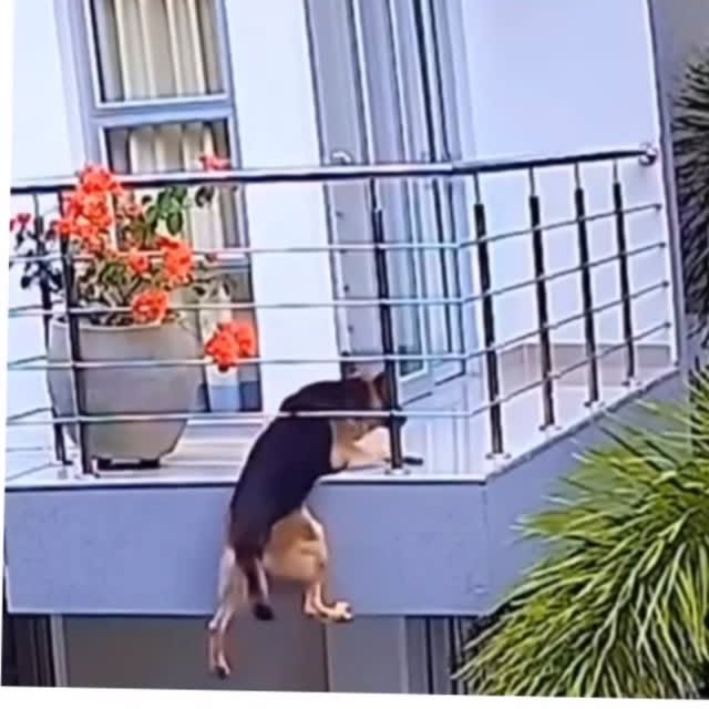  ......estige   'recent posts' 