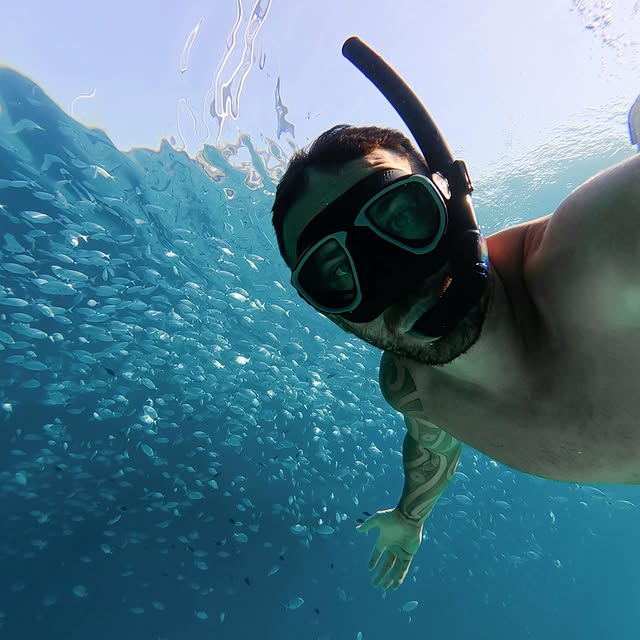  ........otoskiwi   'recent posts' 