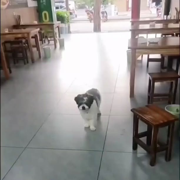  .......ereality   'recent posts' 