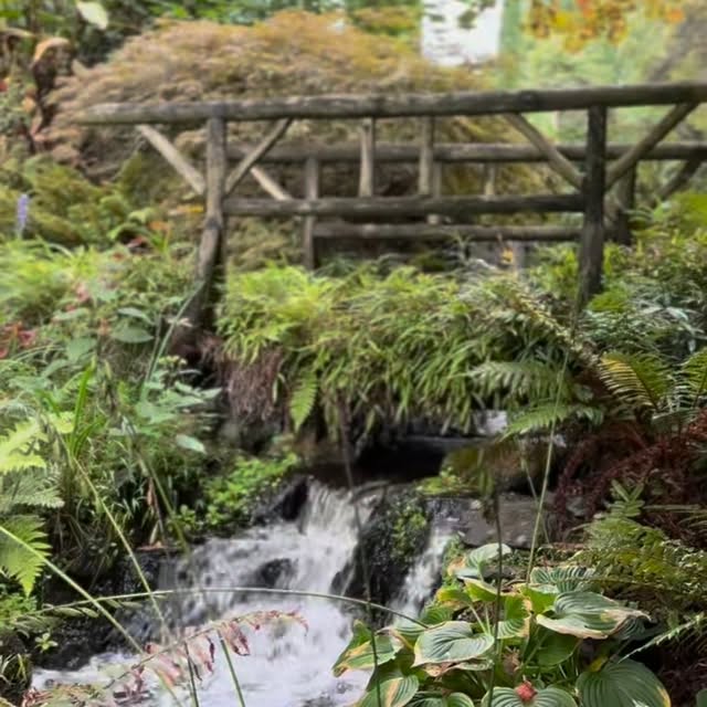  .......newport   'recent posts' 