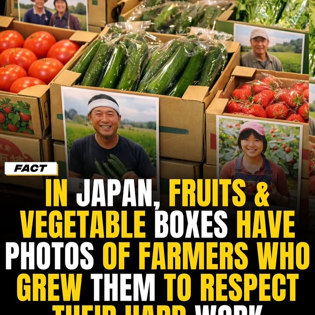  .......s.global   'recent posts' 