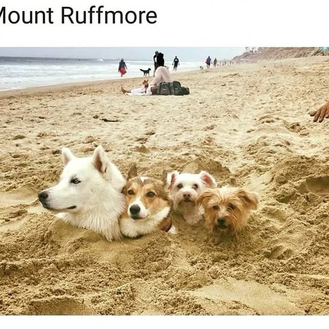  .......ndrulzz   'recent posts' 