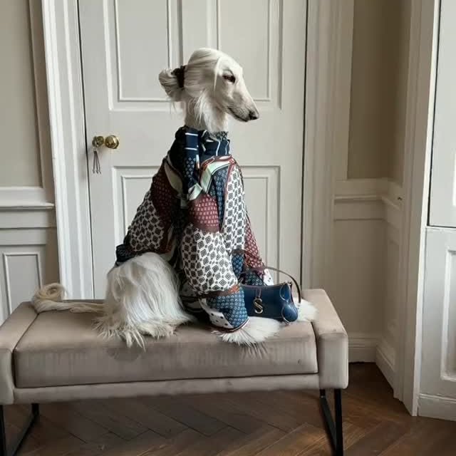  ....ofk9   'recent posts' 